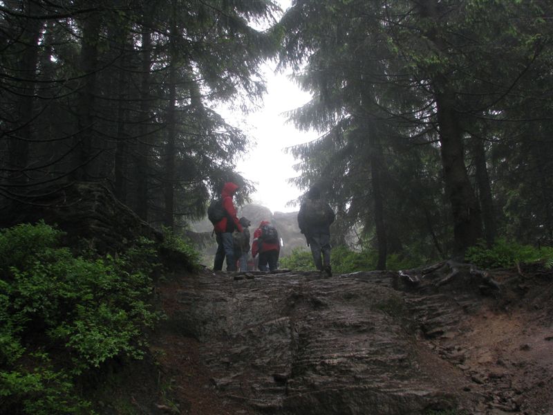 przylenkow (39)